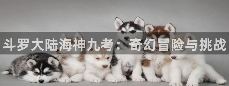 汗汗漫画免费无限金币：斗罗大陆海神九考：奇幻冒险与挑战