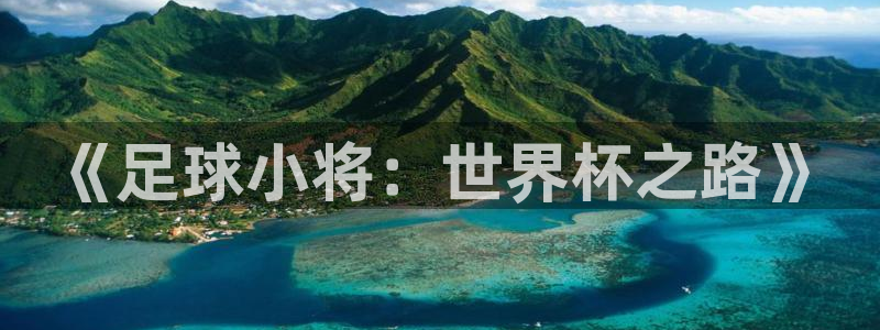 汗汗漫画羞羞：《足球小将：世界杯之路》