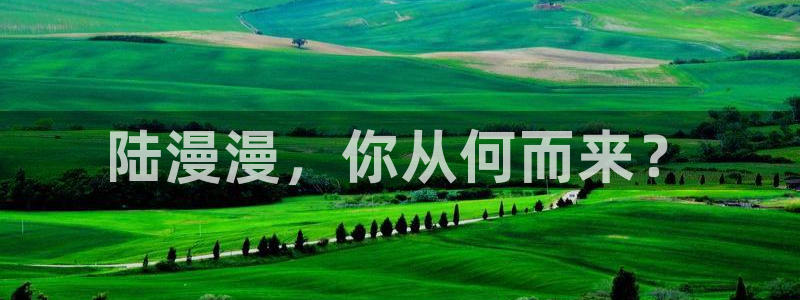 汗汗漫画肉：陆漫漫，你从何而来？