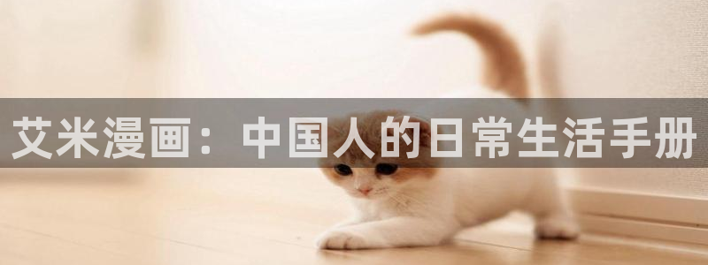 汗汗漫画真人：艾米漫画：中国人的日常生活手册